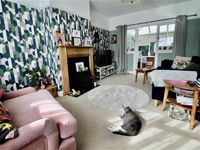 Picture 13